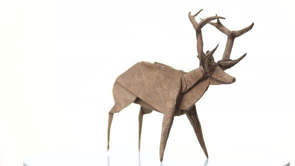 Paper Deer Figurine on White Background.