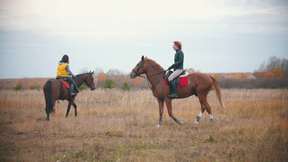 Two Women Are Riding Bay Horses in Circle Holding Them on the Reins