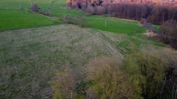 Fly Over The Meadow