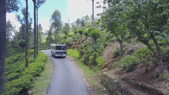 Bus Drives Along Road Across Forest Against Tea Plantation