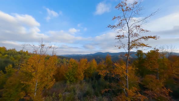 Aerial View of a Bright Autumn Forest on the Slopes of the Mountains