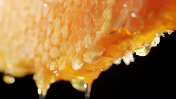 Golden Fresh Honey is Dripping From Honeycomb