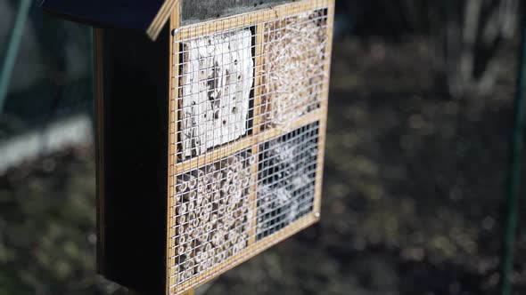 insect hotel in garden with sun