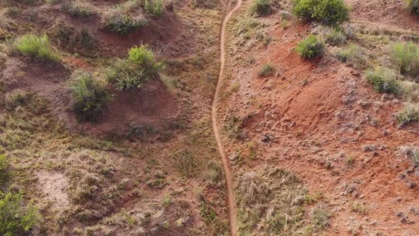 Drone Fly Over following a Moutain Biker on a Single Track during a Sunny Day