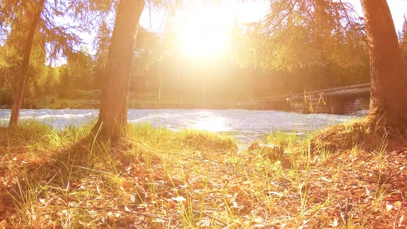 Meadow at Mountain River Bank