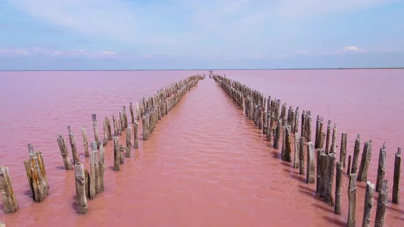 SasykSivash is the Largest Lake and Salt Lake on the Crimean Peninsula