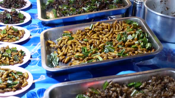 Close-up Footage of Deep Fried Insect Displaying at Street Food Market