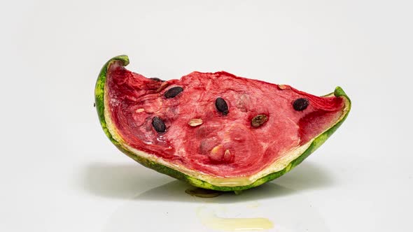 Piece of Ripe Watermelon Rots on White Background Time Lapse Educational Cognitive Video