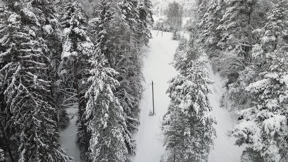 Wonderfully Snowcovered Winter Forest in Cool Weather Aerial View