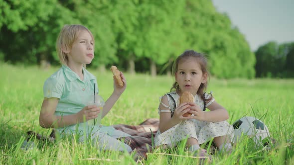 Portrait of Two Charming Children Eating Croissants and Drinking Juice on Sunny Summer Meadow. Blond