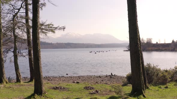 A Group of Canoeists Seen Arriving at Shore With Forests