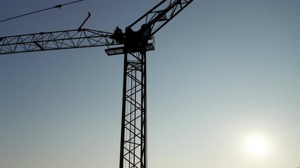 Crane Silouhette Sunlight Sky alt