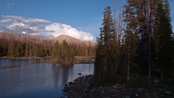 Flying over pond and rising above trees