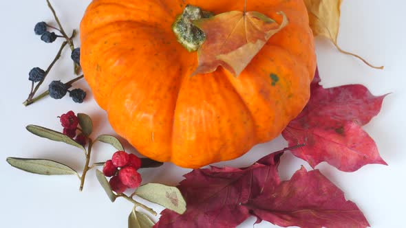 Autumn Falling Composition of Decorative Pumpkin and Dry Leaves