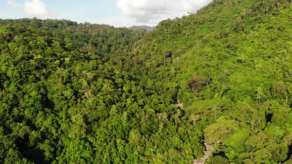 Green Jungle on Hills. Tropical Trees Growing on Hilly Terrain on Koh Samui Island. Way To Waterfall