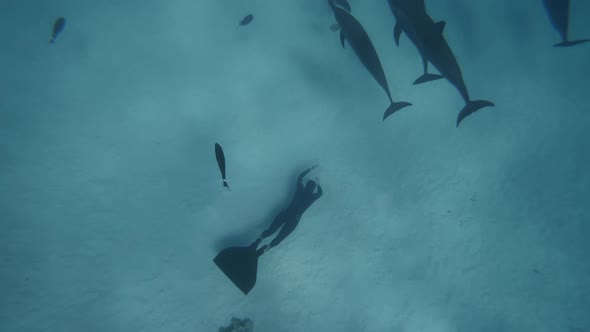 Beautiful Young Man Swimming Underwater with Dolphins in Pristine Blue Ocean Water Amazing