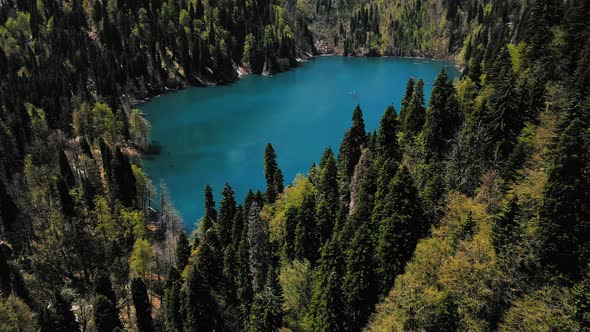 Drone View of the Mountain Lake in the Middle of a Coniferous Forest