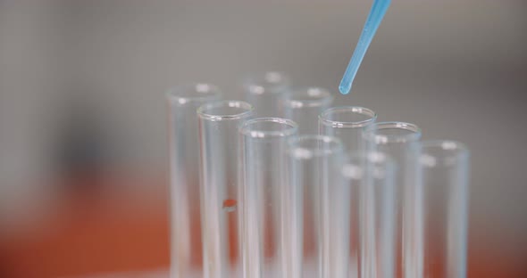 Working in Laboratory - Scientist Using Pipette in Lab. alt