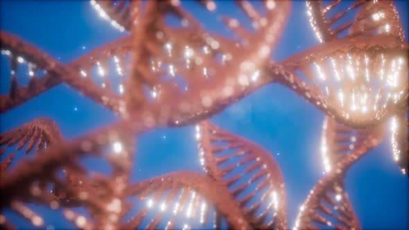 Structure of the DNA Double Helix Animation alt