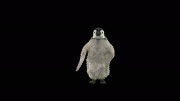 Penguin Dancing 4K