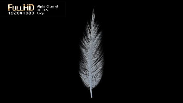 White Feather Rotation Loop