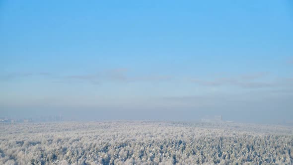 Clouds on a blue sky over a winter forest with snow trees, time lapse