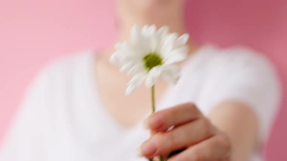 A young woman shows a close-up of a daisy flower. The concept of femininity and March 8.