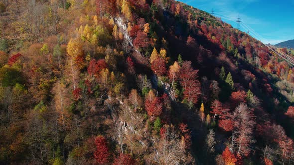 Drone Flight Over Klammsee Reservoir Forest In Autumn