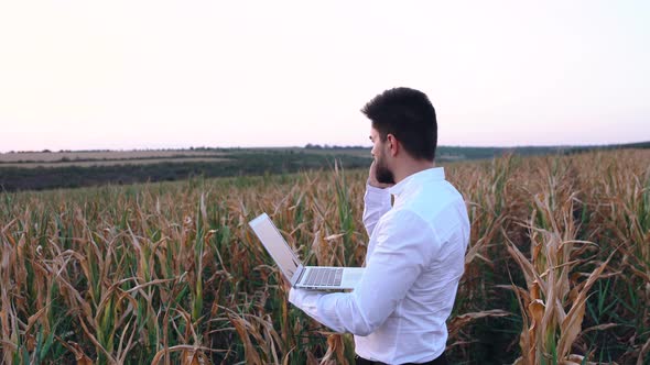 Businessman on the Damaged Corn Field Talking on the Phone Very Agitated.