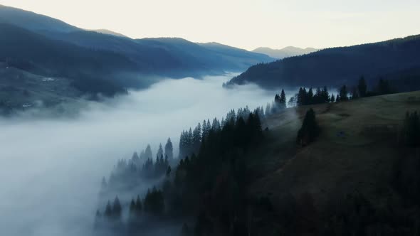 Picturesque Drone View of Hazy Valley and Hills with Coniferous Trees Located Against Evening Sky