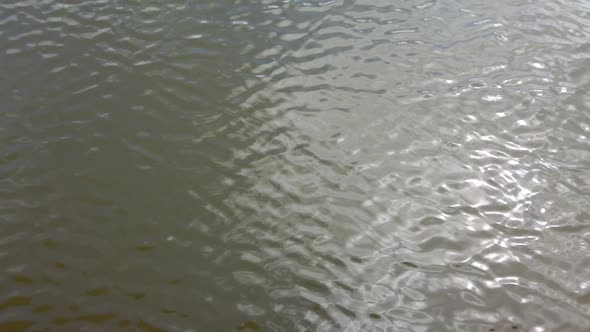 Ripples in the water. Reflection of the sun rays.