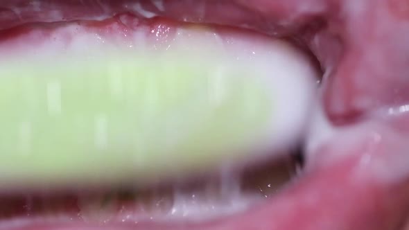 Closeup of a Young Man While Brushing His Teeth Personal Hygiene