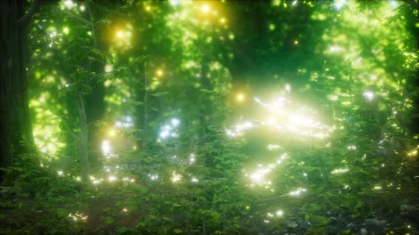 Firefly Flying in the Forest