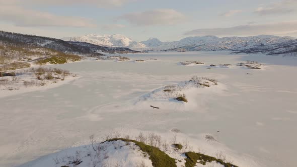 An eagle flying above a frozen lake in northern Norway. Skogsfjordvatnet, Ringvassøya.4K drone shot