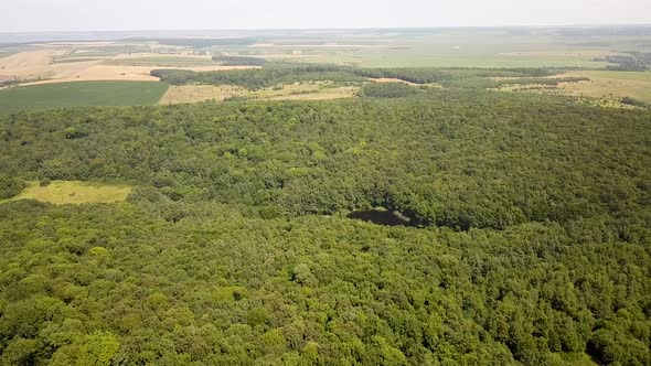 Aerial view of a small forest lake in the middle of green dense woods in summer.