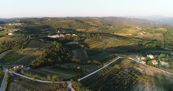 Aerial view of beautiful countryside at sunset with vineyard, Croatia.