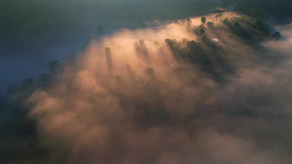 4K Aerial view of the misty sunrise in the forest. Tropical Rainforest in Thailand