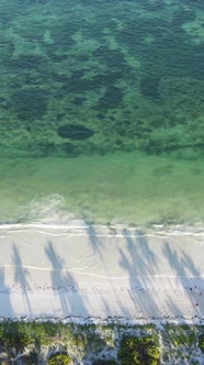 Vertical Video Empty Beach on Zanzibar Island Tanzania