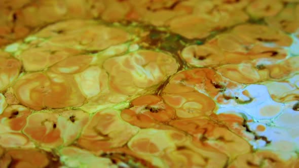 Color Explosion Abstract Art Painting 676 alt