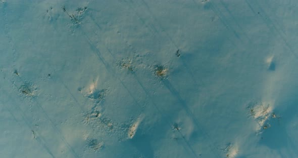 Aerial Drone View of Cold Winter Landscape with Arctic Field Trees Covered with Frost Snow