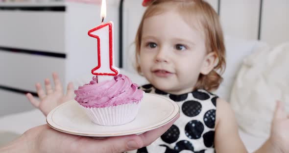 A Birthday Party for a Happy Cute 1 Year Old Girl and Blowing Candles on a Cake