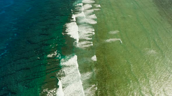 Waves Crashing on a Coral Reef