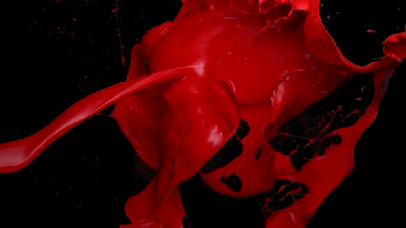 Red paing forming body, Slow Motion