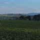 Vineyard In Tuscany, Italy - VideoHive Item for Sale