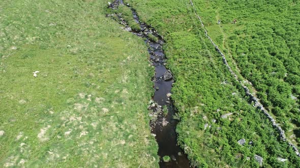 Forward tracking aerial along a creek or river beside wistmans wood in the heart of Dartmoor, Devon,
