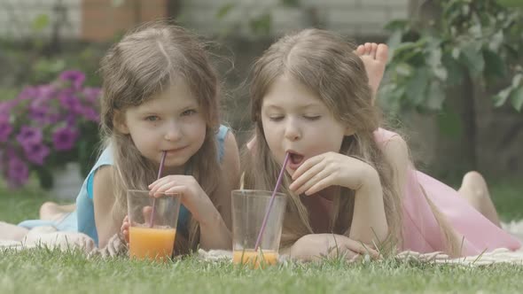 Portrait of Cute Twin Sisters Posing on Backyard on Sunny Summer Day. Brunette Curly-haired Girls