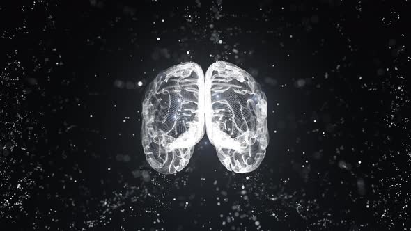3D Animation of Human Brain alt