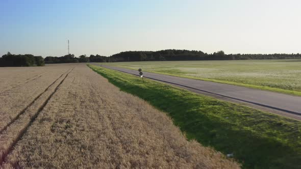 Straight Road in Agriculture Side. Man Rides a Motorcycle on a Sunset Passing in Scene. Aerial View