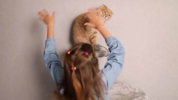 Happy, cute little girl play with her cat at home. love pets, friendship