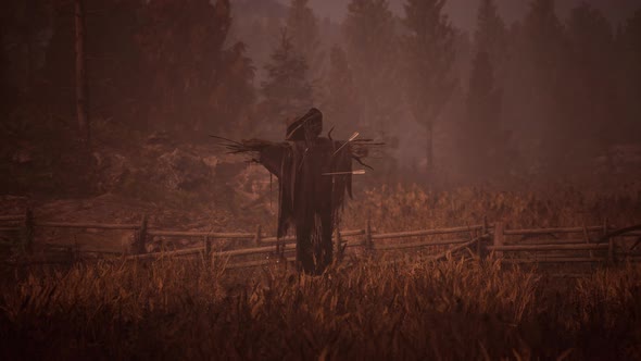 Terrible Scarecrow in Dark Cloak and Dirty Hat Stands Alone in Autumn Field